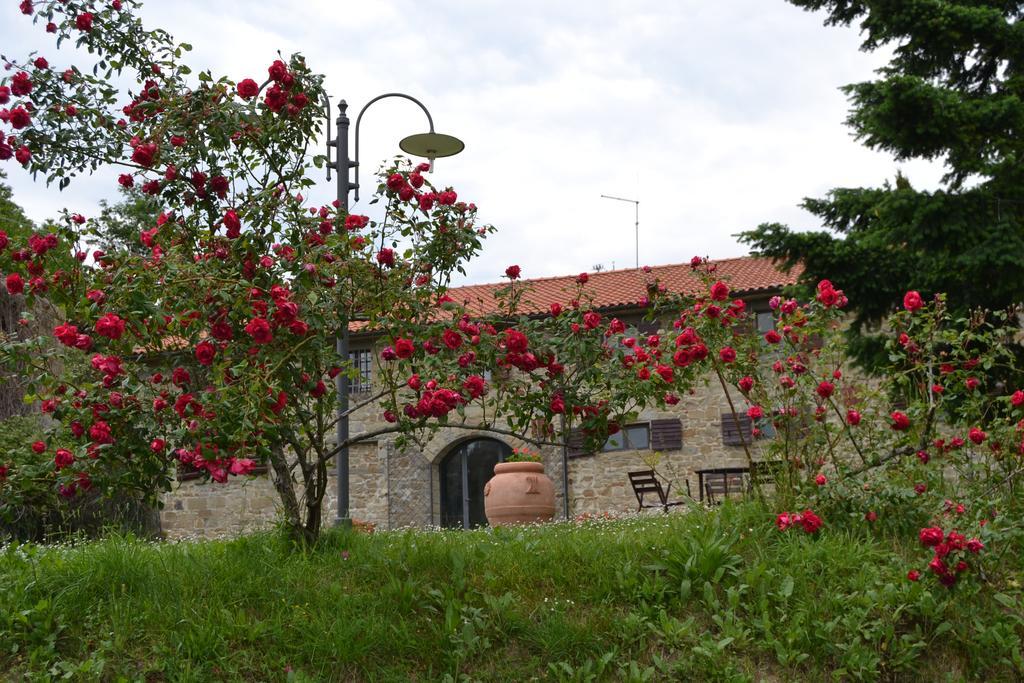 Vila Fattoria Il Praticino Castelfranco di Sopra Exteriér fotografie